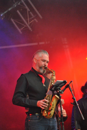 Wild Card 3io - Photo 4