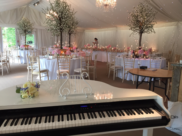 Karen Daniels - Wedding & Event Pianist - Photo 2