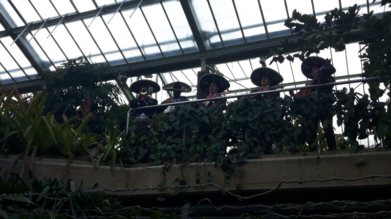 Mariachi El Mexicano - Photo 2