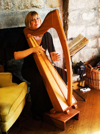 Lucia McGinnis Harpist - Photo 5