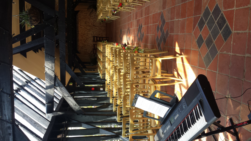 Vanessa - Solo Singer/Pianist/Keyboard Player - Photo 8