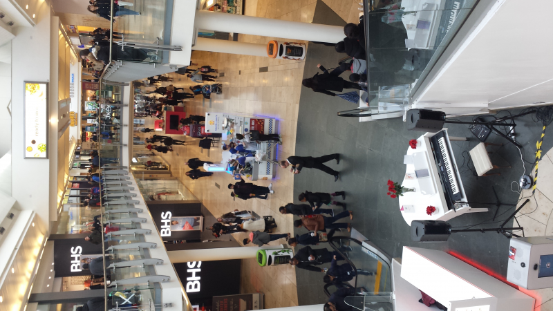 Vanessa - Solo Singer/Pianist/Keyboard Player - Photo 10