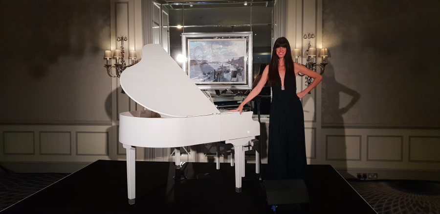 Vanessa - Solo Singer/Pianist/Keyboard Player - Photo 14