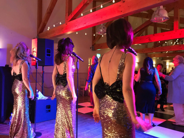 The Iconettes - Photo 4