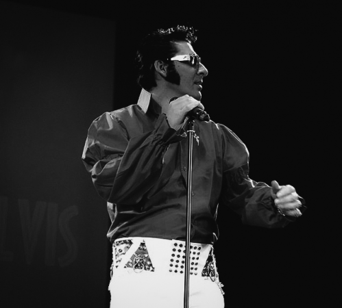 Andy's Elvis Tribute - Photo 19