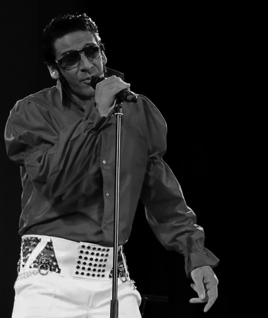 Andy's Elvis Tribute - Photo 20