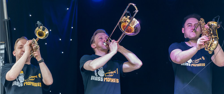 Brass Monkees - Photo 20