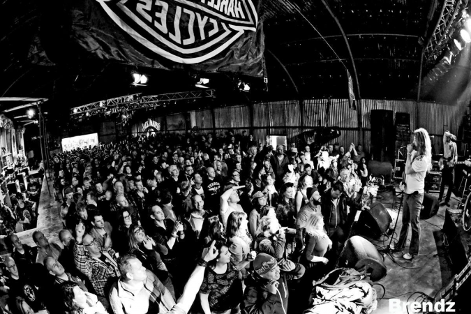 Hats Off to Led Zeppelin - Photo 4