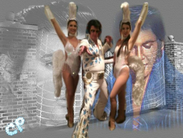 Elvin Priestley - Elvis Tribute - Photo 6