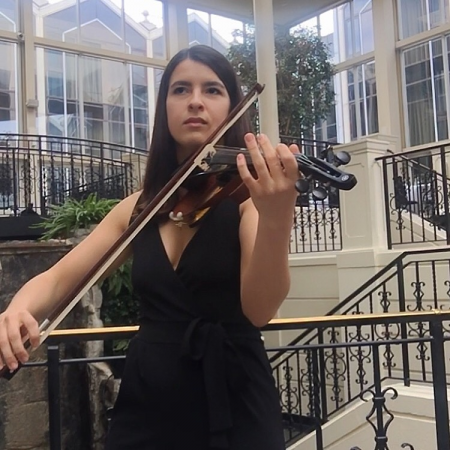 Versatile Electric Violinist - Photo 3