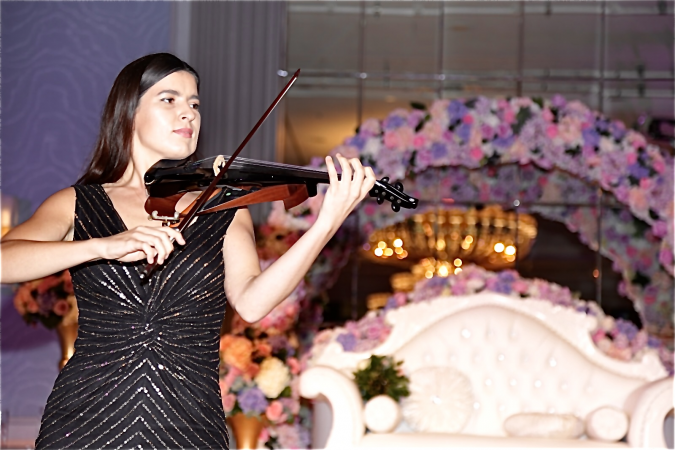 Versatile Electric Violinist - Photo 7