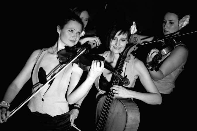 Bowfiddle Strings - Photo 6