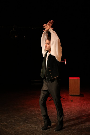 Jesus Olmedo -  Flamenco Show - Photo 3