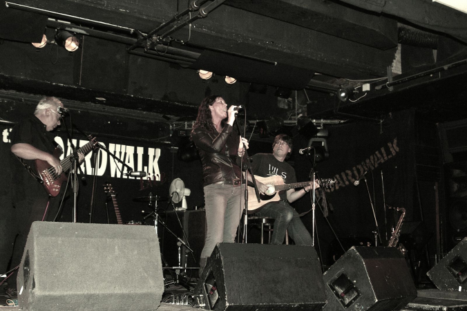 Swansong Acoustic - Photo 4