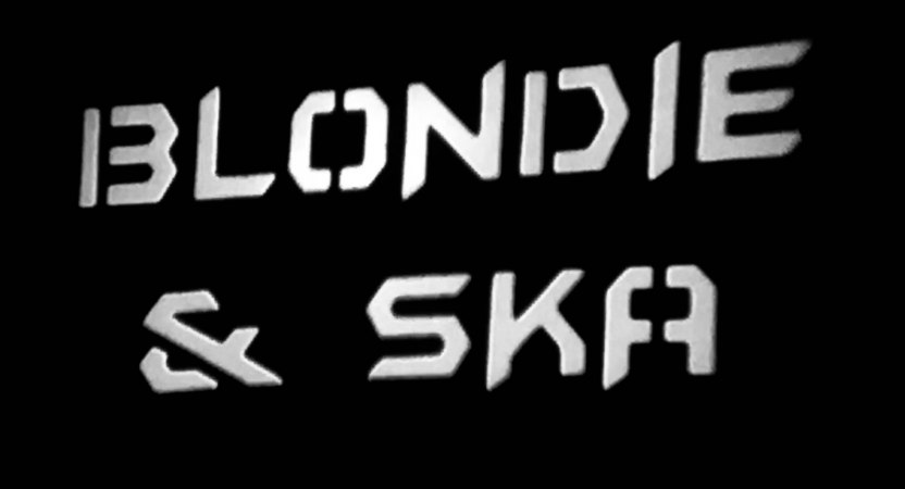 Blondie and Ska - Photo 6