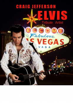 ELVIS Raised On Rock 