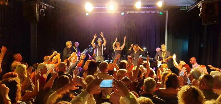 Black & Gold Motown Band - Photo 5