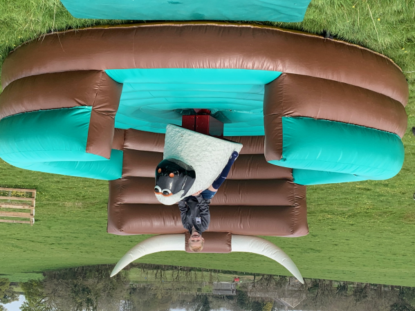 fun-tasia Rodeo Bull - Photo 4