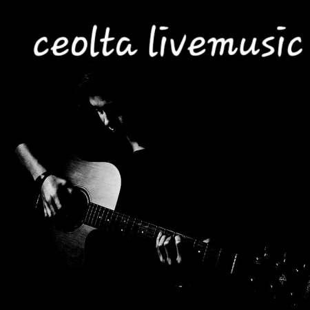 Ceolta Live Irish Music - Photo 3