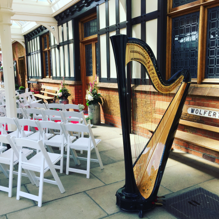 Rebecca Barnes Harpist - Photo 6