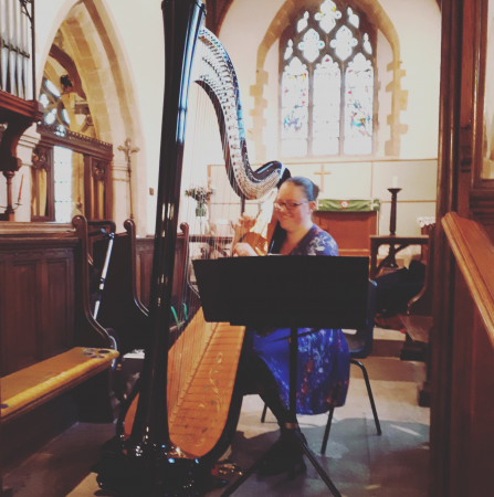 Rebecca Barnes Harpist - Photo 7