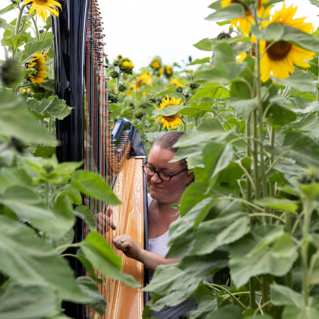 Rebecca Barnes Harpist - Photo 8