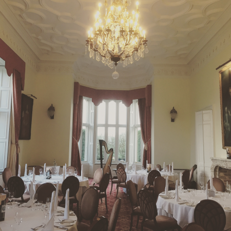 Rebecca Barnes Harpist - Photo 10