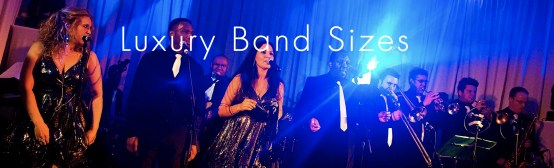 Reel Deal Band  - Photo 3