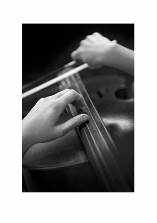 Jade Woodhouse - Professional Cellist - Photo 8