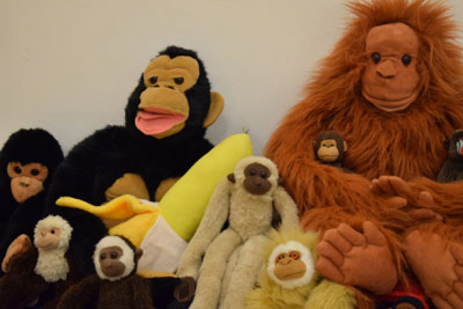 Kidzfun childrens party entertainment - Photo 6