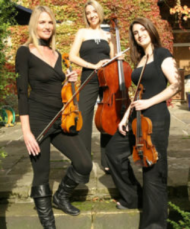 Simply Strings Trio - Photo 3