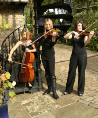 Simply Strings Trio - Photo 4