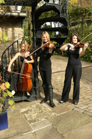 Simply Strings Trio - Photo 6