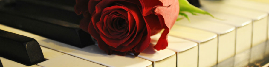 Tim Croston - Piano - Photo 3