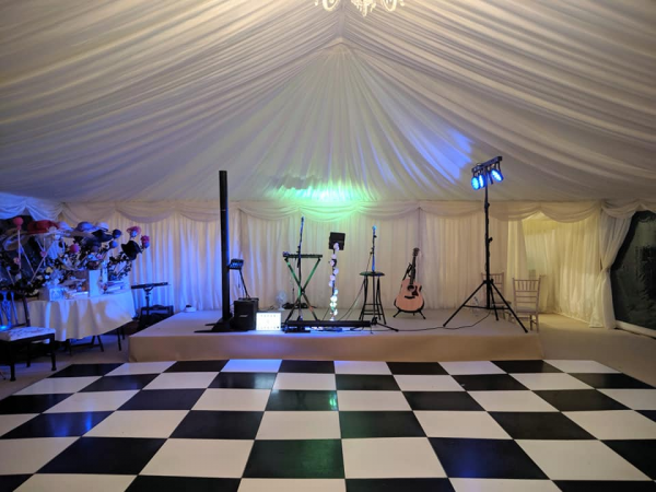 Sugar Sweet Duo - Photo 3