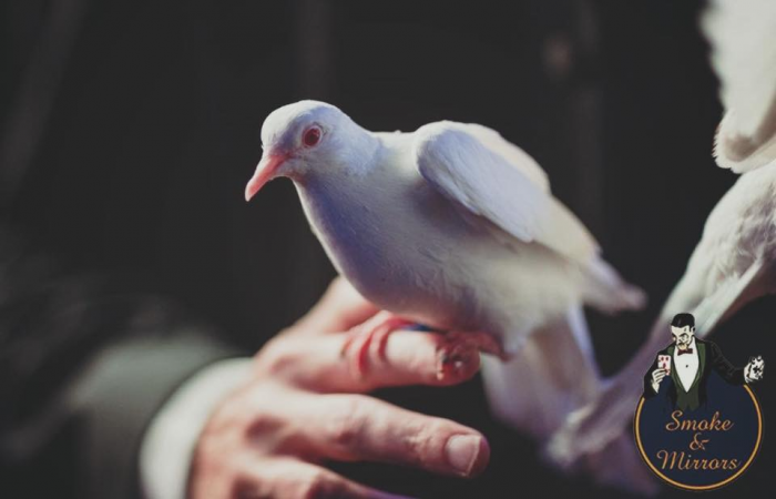 Simon Vertue - Photo 6