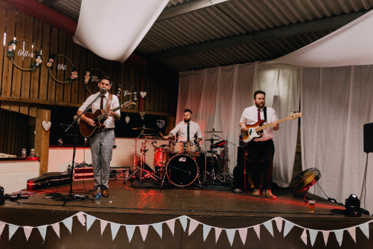 The Missing Cat Trio