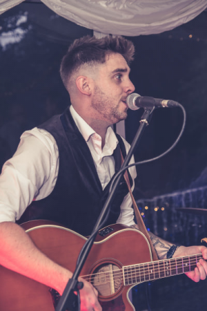 The Missing Cat Trio - Photo 4