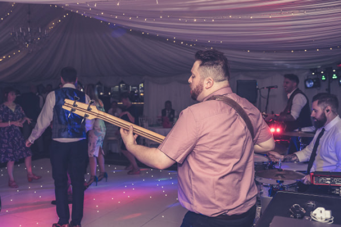 The Missing Cat Trio - Photo 6