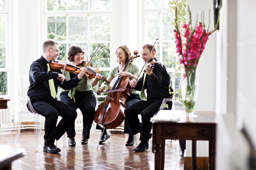 The String Quartet Company