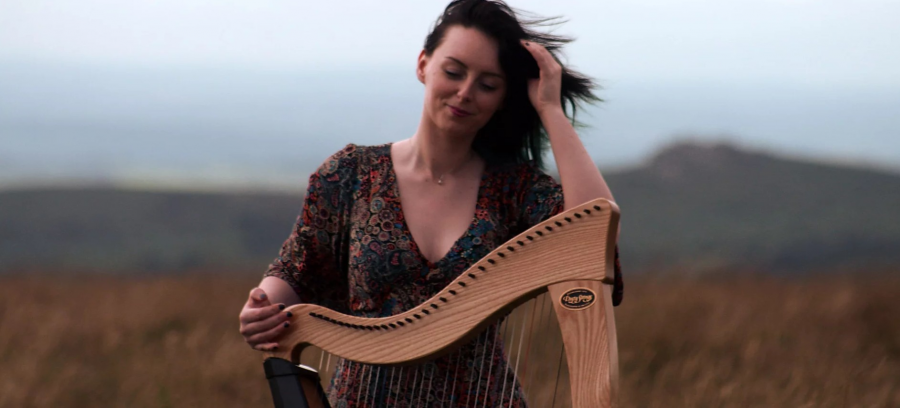 Harp and Vocals  - Photo 3