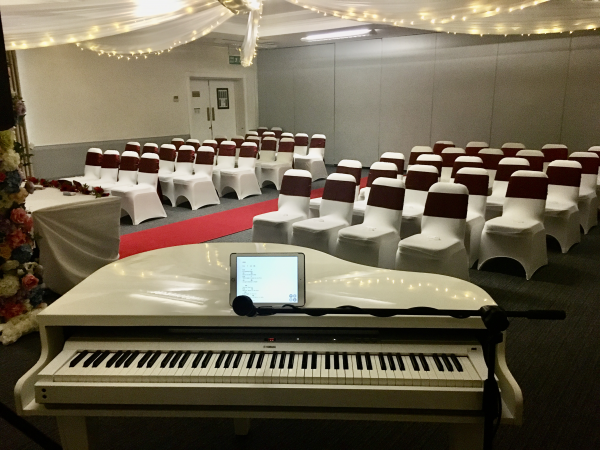 Carolina Garcia-Cox - Singer / Pianist - Photo 8