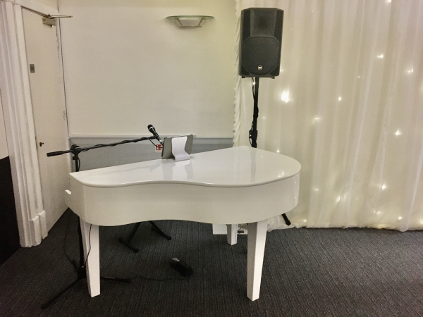 Carolina Garcia-Cox - Singer / Pianist - Photo 11