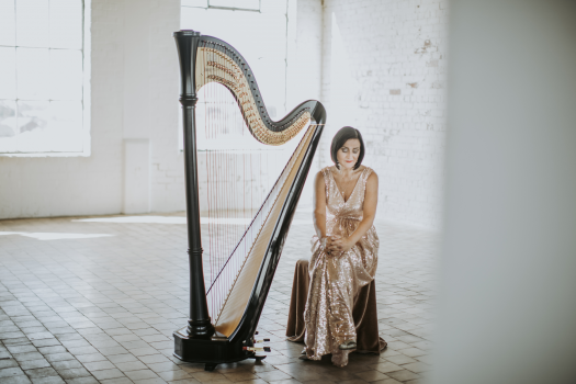 Les Magee Harpist