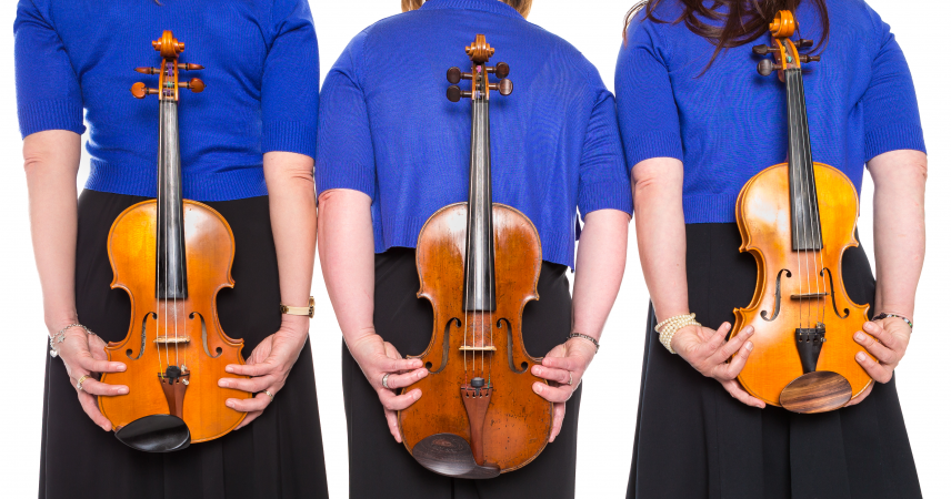 Andrelli String Quartet - Photo 3