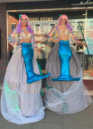 Stilt Walkers - Photo 7