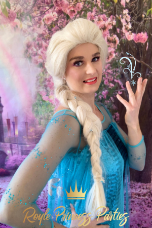 Princess & Character Appearances - Photo 2