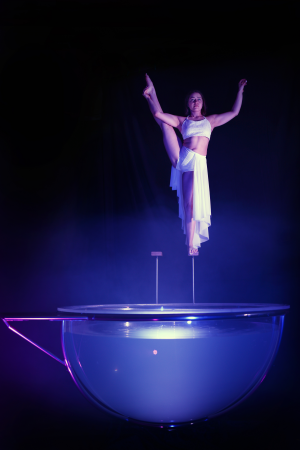 The Aqua Sphere - Photo 5