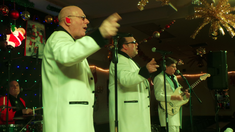 SHOWADDYWADDY ELITE - Photo 6