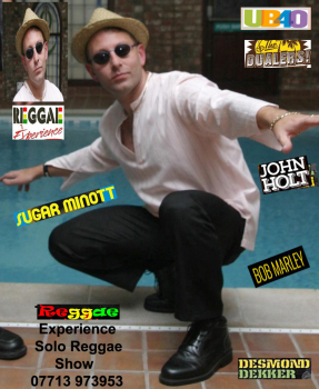 The Reggae Experience - Solo Reggae Show